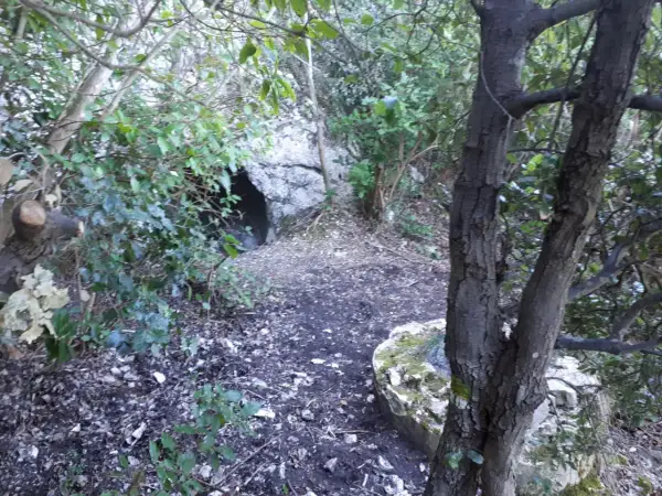 Sentiero che conduce alla grotta del mortarolo, tra vegetazione e rocce.
